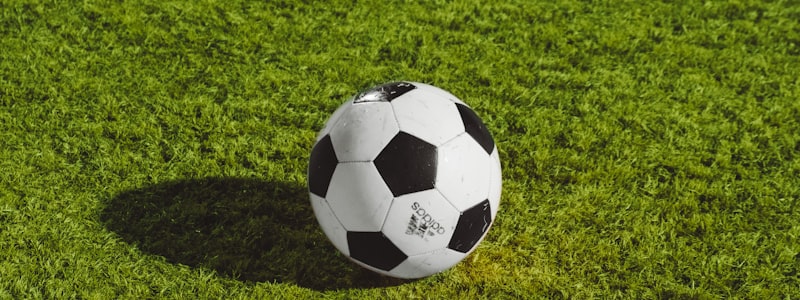 西班牙国家队队徽红色黄色足球标志